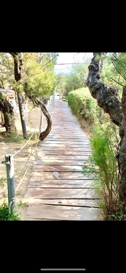 Le Caillou A La Ponche St Tropez Διαμέρισμα Σαιν-Τροπέ Εξωτερικό φωτογραφία