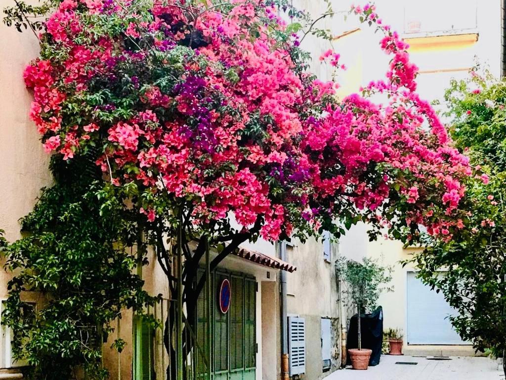 Le Caillou A La Ponche St Tropez Διαμέρισμα Σαιν-Τροπέ Εξωτερικό φωτογραφία